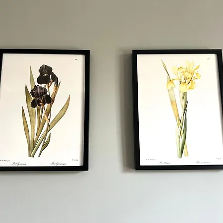 Apartment Akacja Centrum