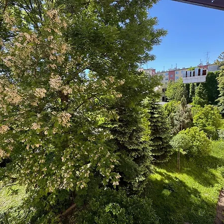 Apartment Akacja Centrum