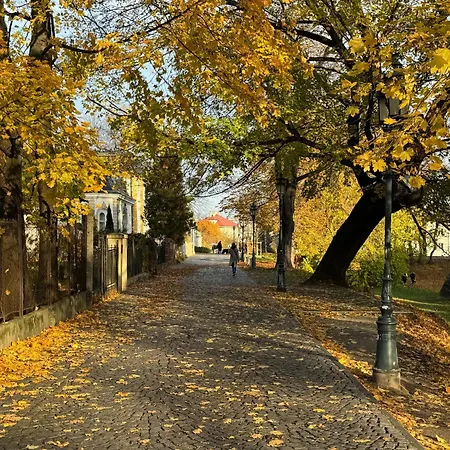 Akacja Centrum Apartman Rzeszów