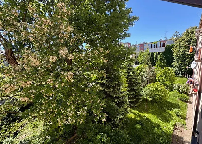 Apartment Akacja Centrum